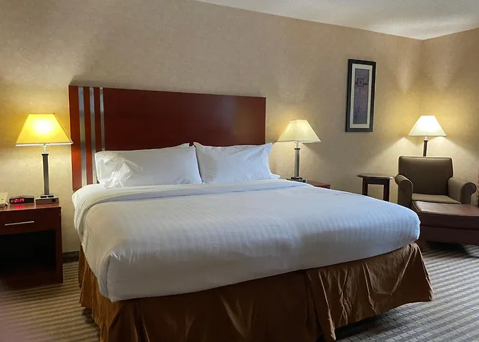 Dog friendly hotels Lynchburg Grand Estate By Ihg
